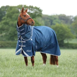 Shires Regendeken Original 50g Turnout met Hals Oceaan