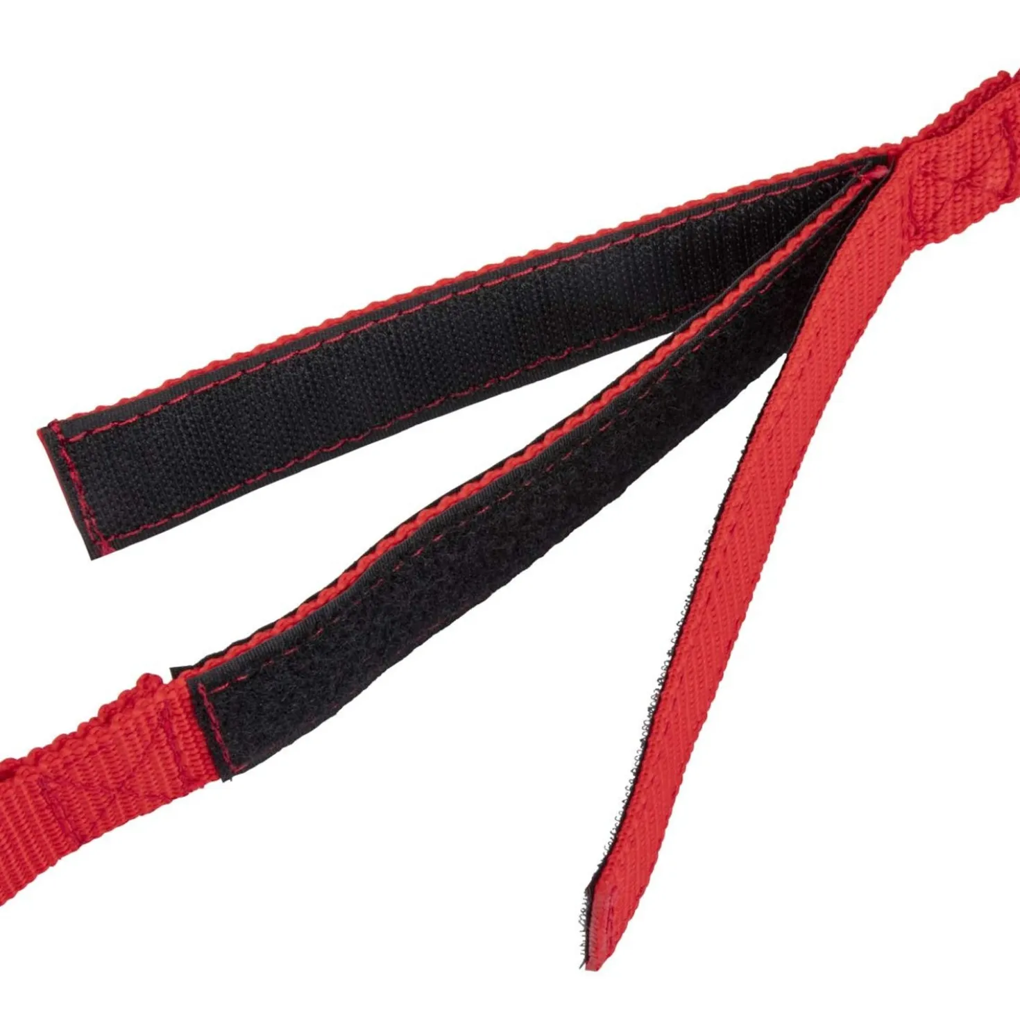 Shires Vastzetlijn Bungee Beakaway Rood