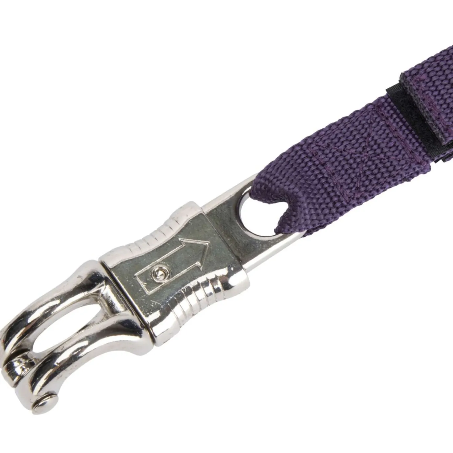 Shires Vastzetlijn Bungee Beakaway Paars