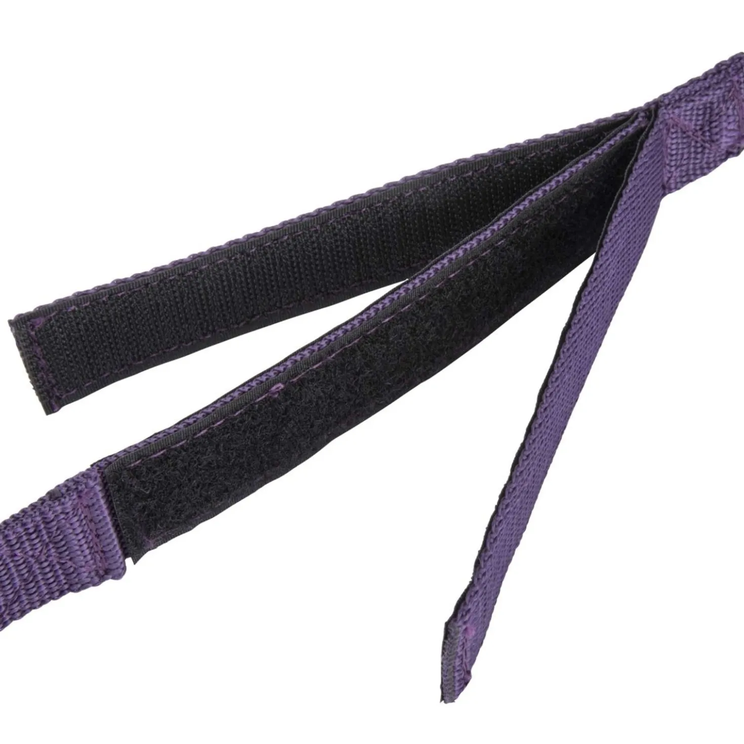 Shires Vastzetlijn Bungee Beakaway Paars