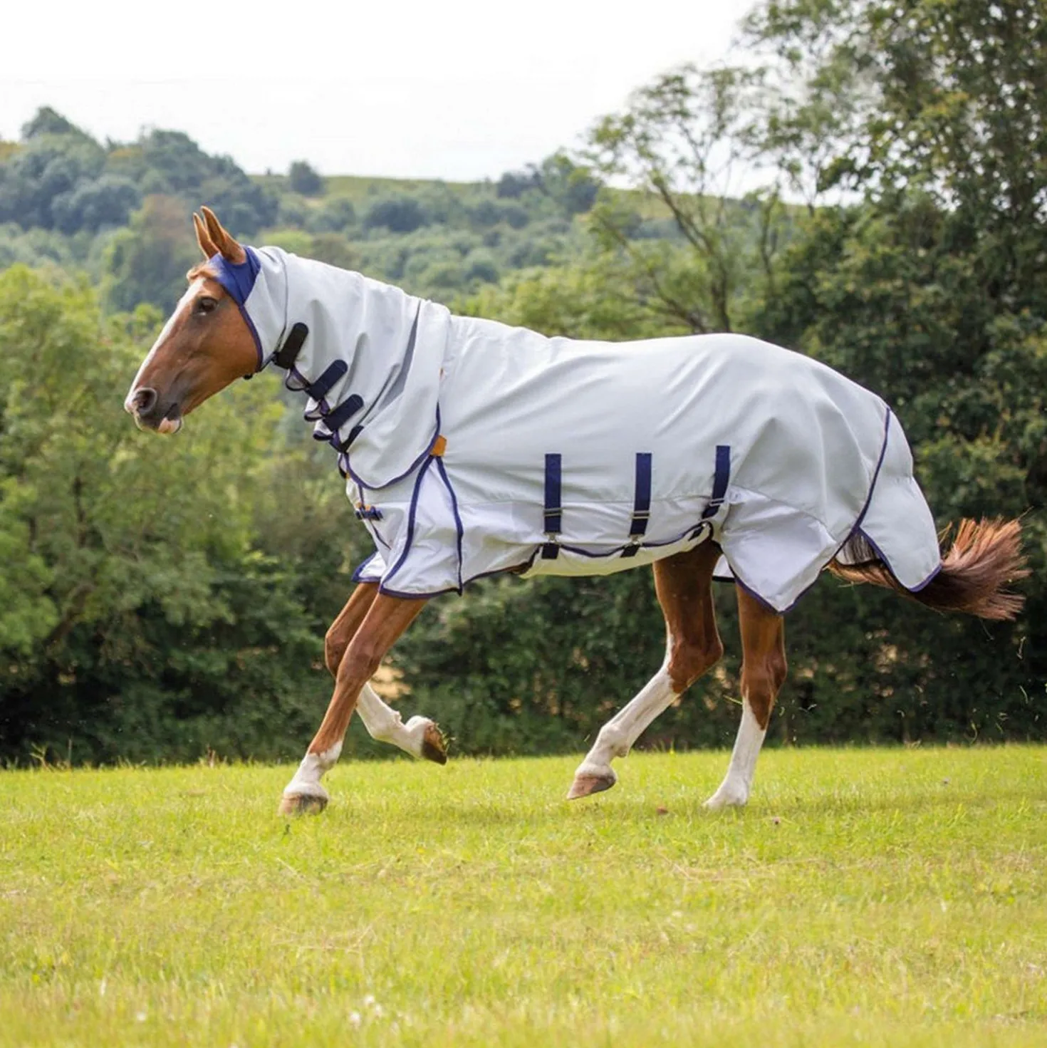 Shires Vliegendeken Highlander Plus Sun Shade Combo Grijs