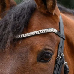 STAR Frontriem Glitter Zilver