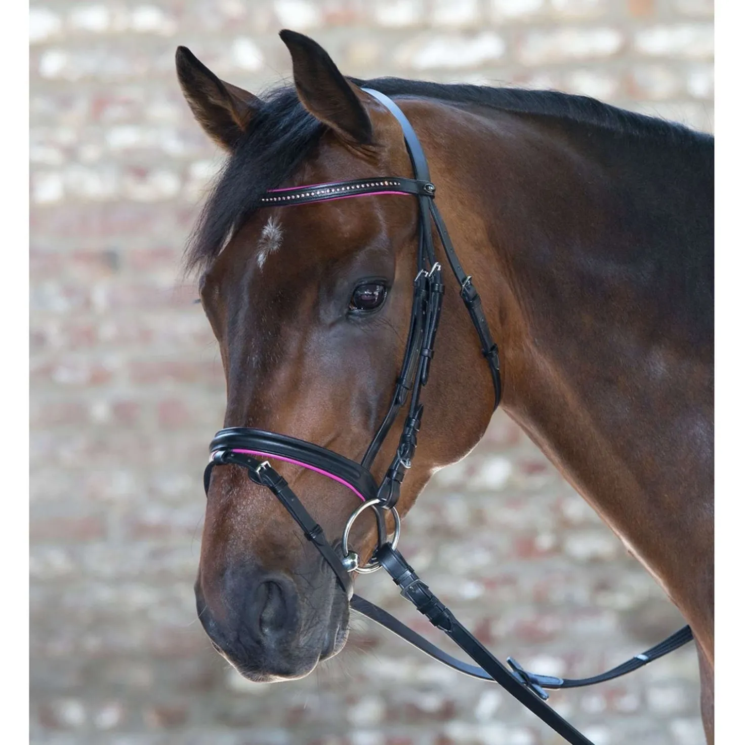 Star Trenshoofdstel Diamond Engels Gecombineerd Fuchsia