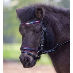 Star Trenshoofdstel Pinky Engels Gecombineerd Zwart
