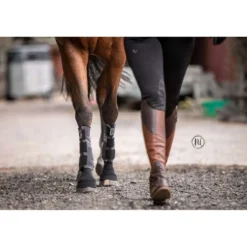 Stübben Equi Compress Set Voorbenen
