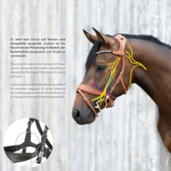 Stübben Hoofdstel Freedom II met Slide&Lock Zwart/Zwart