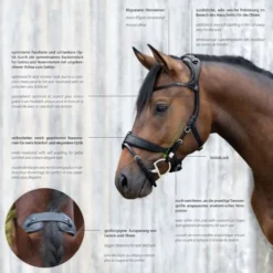 Stübben Hoofdstel Freedom II met Slide&Lock Zwart/Zwart