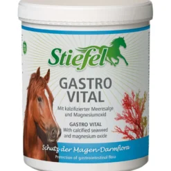 Stiefel Gastro Vital