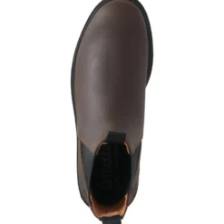 Suedwind Jodhpur New Work Chocolate