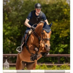 Swing Bodyprotector P24 Max Zwart