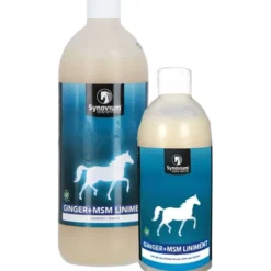 Synovium Ginger MSM Liniment