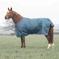 Tempest by Shires Winterdeken Turnout Typhoon 200g Groen