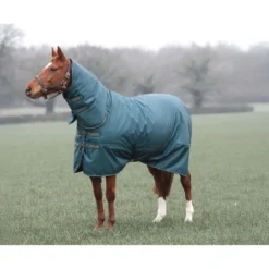 Tempest by Shires Winterdeken Turnout Typhoon 200g Groen