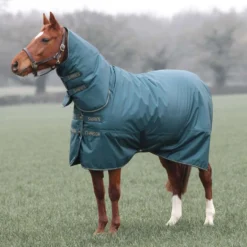 Tempest by Shires Winterdeken Turnout Typhoon Combo 200g Groen