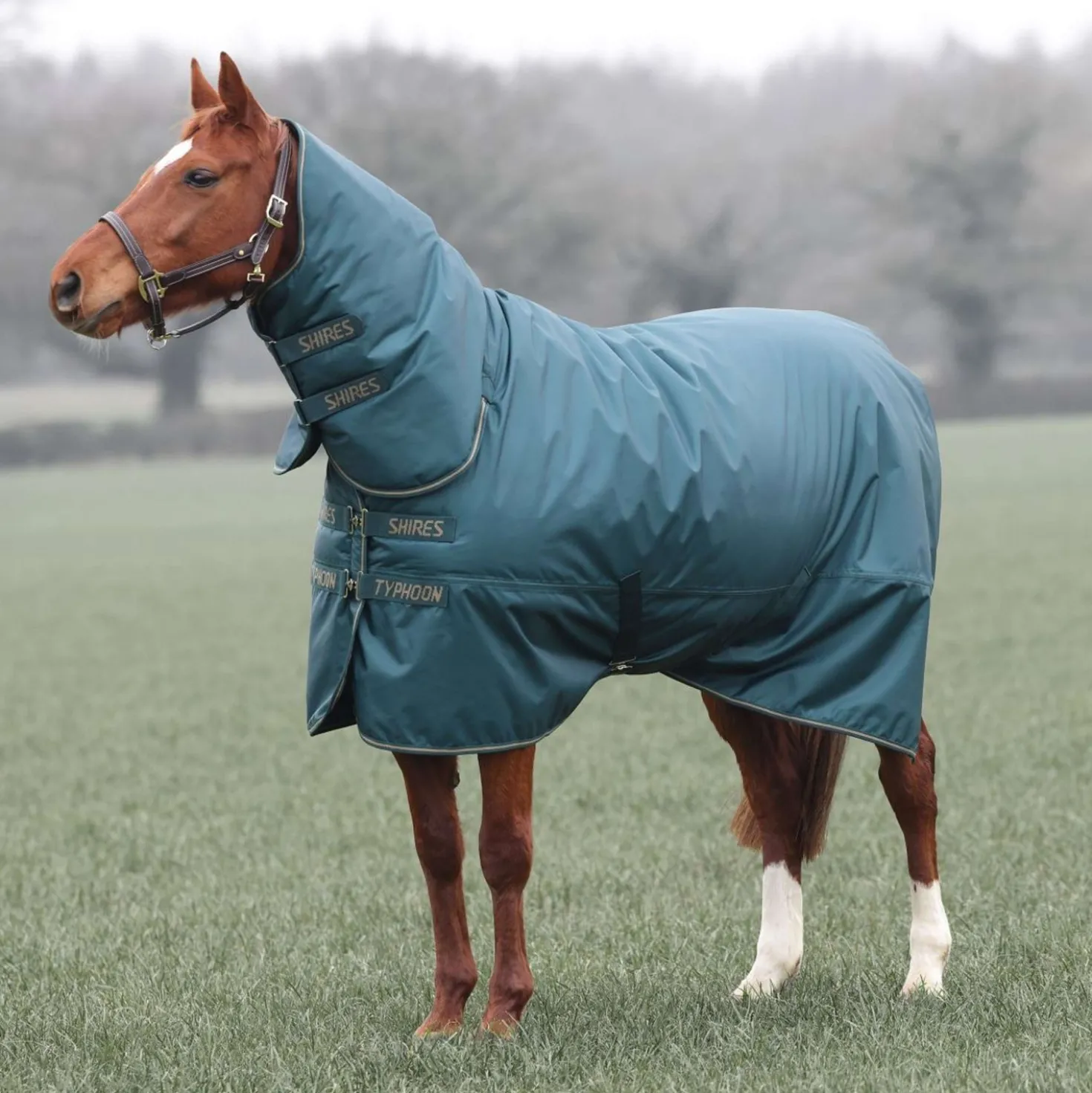 Tempest by Shires Winterdeken Turnout Typhoon Combo 200g Groen