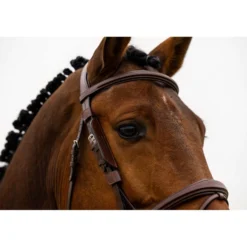 Trust Oogkleppen/Blinkers Zwart