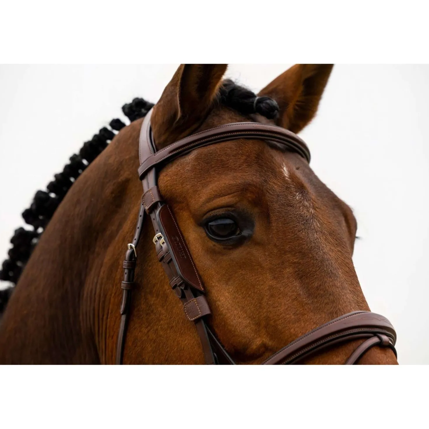 Trust Oogkleppen/Blinkers Zwart