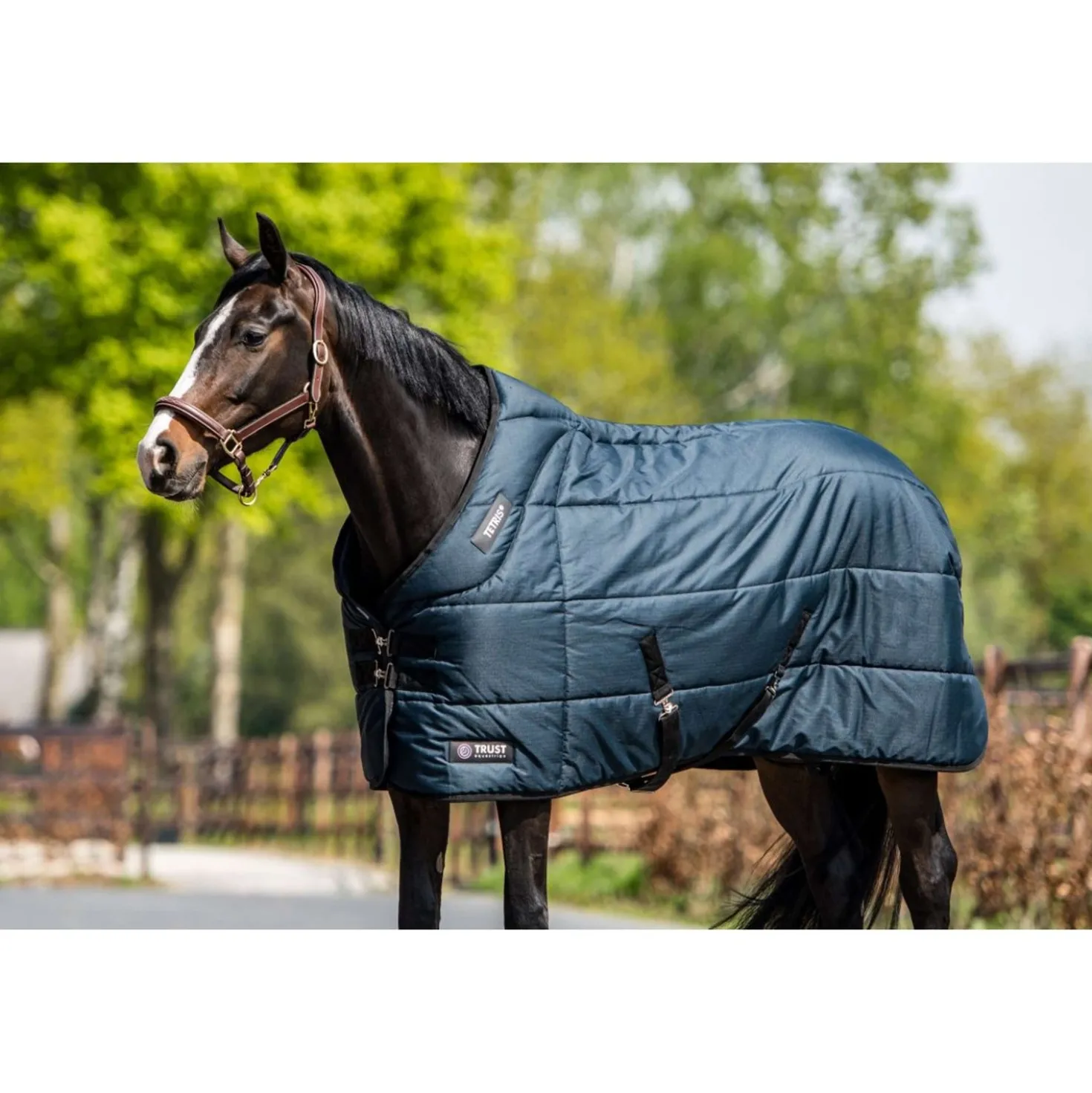 Trust Staldeken Tetris 200g Navy