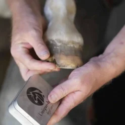 Unique-horn Hoof Repair Wax