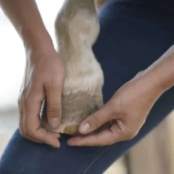 Unique-horn Hoof Repair Wax