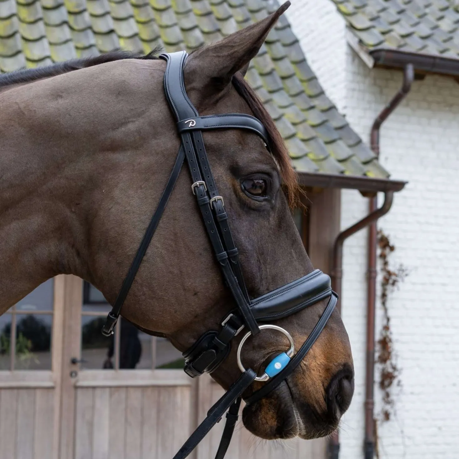 Velari Bustrens Flex Medium 20mm