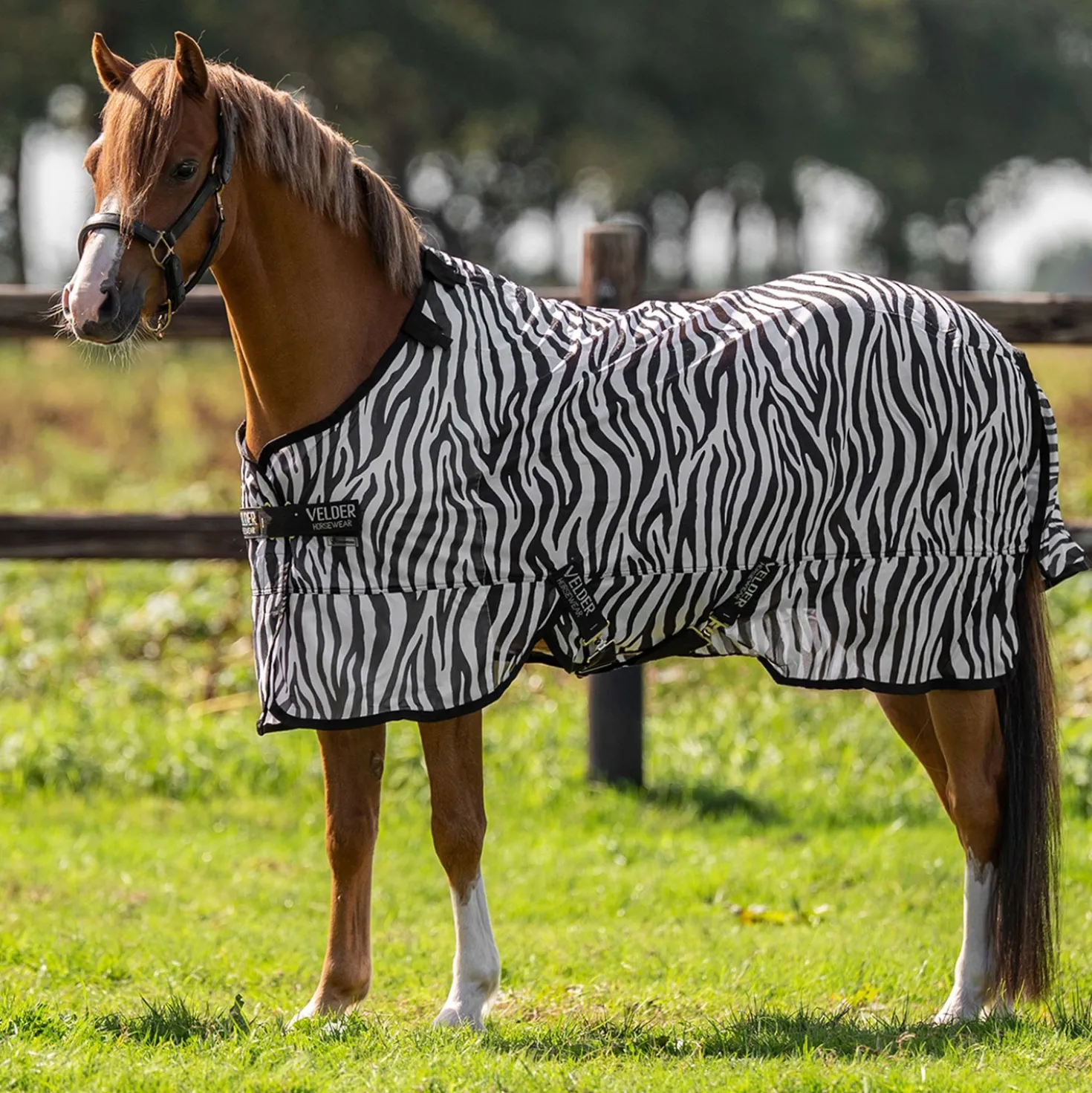 Velder Horsewear Essentials Pony Vliegendeken met Hals Zebra Zwart/Wit