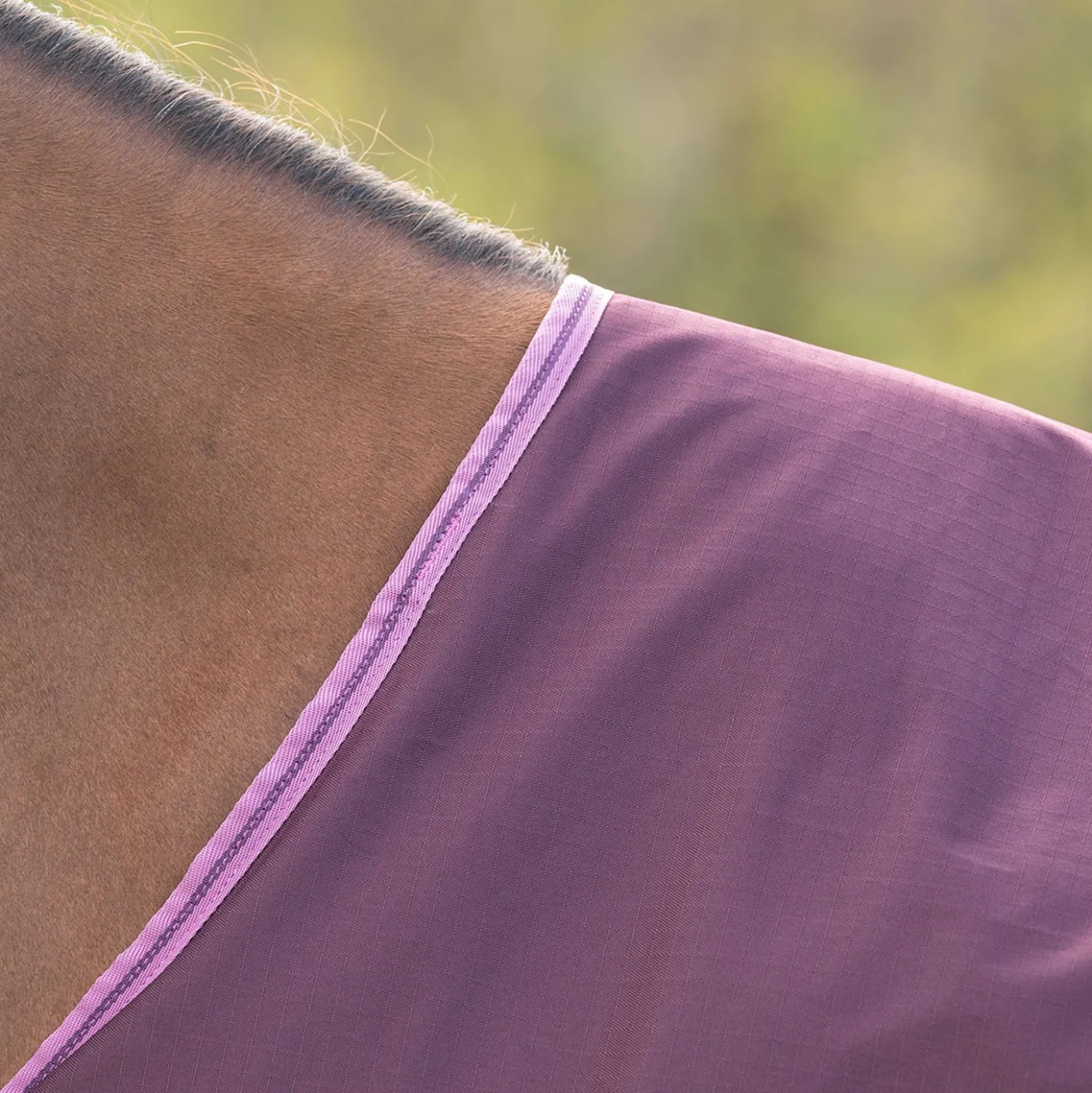 Velder Horsewear Essentials Ripstop Turnout Rug 600D 0g Plum Brown