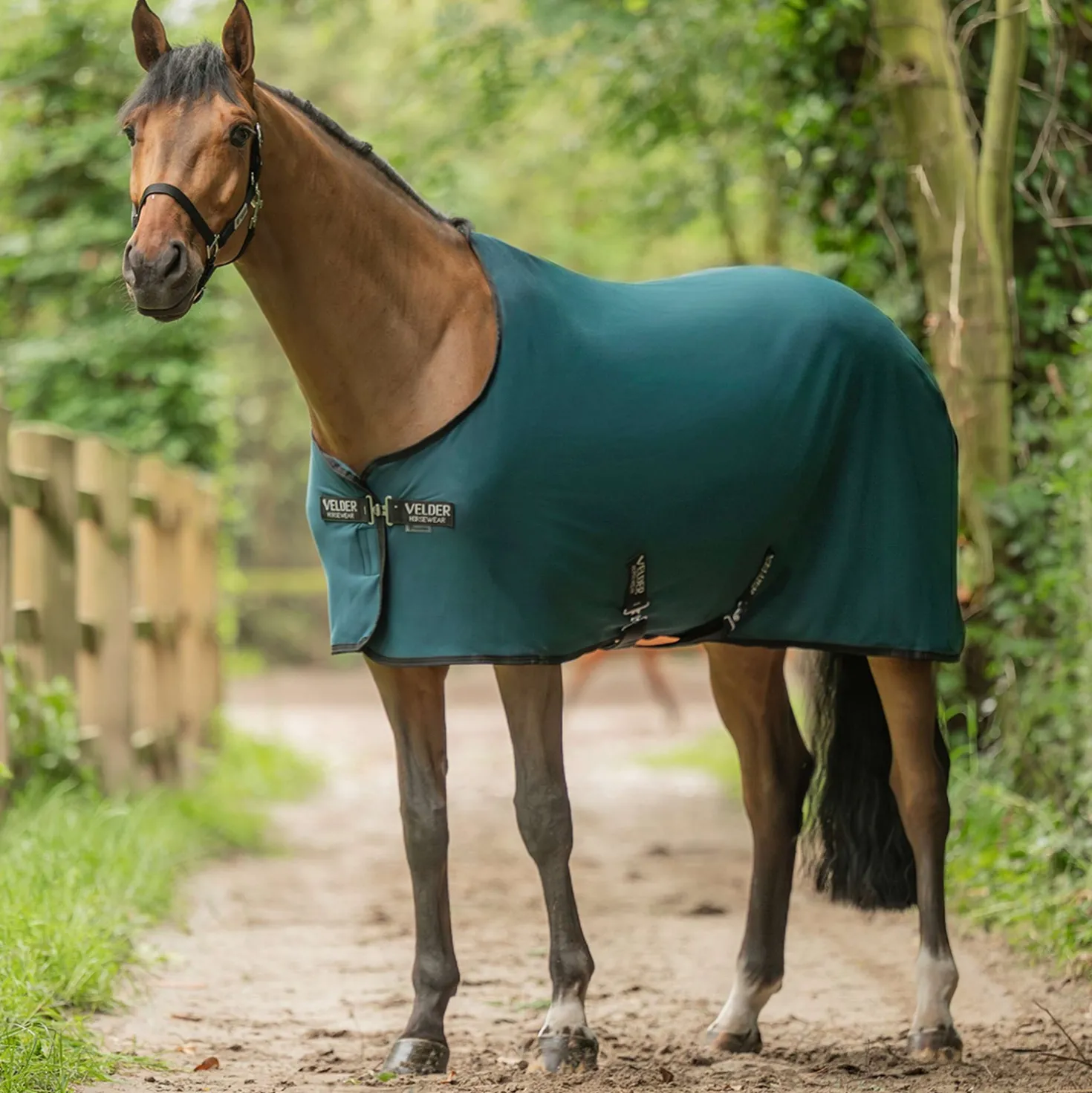 Velder Horsewear Essentials Cooler Rug Emerald Green