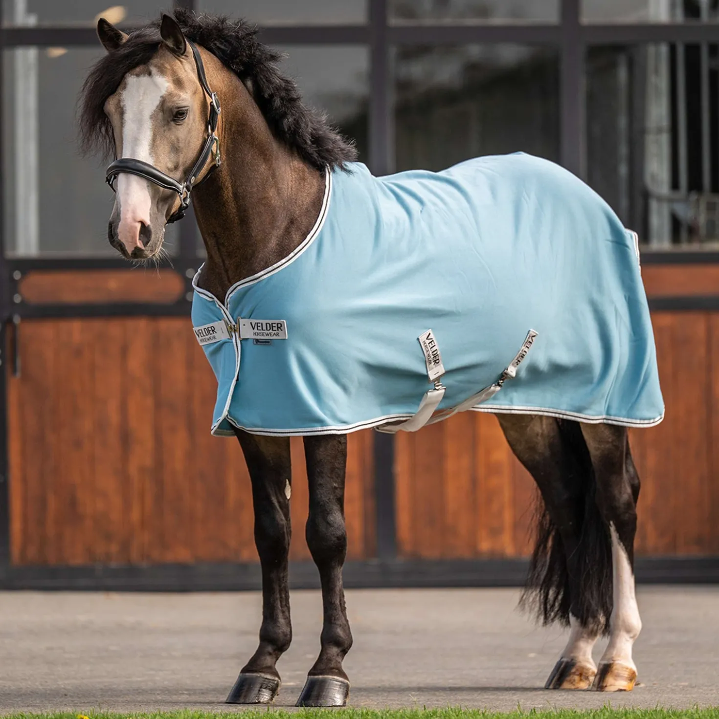 Velder Horsewear Essentials Pony Cooler Rug Aqua Blue