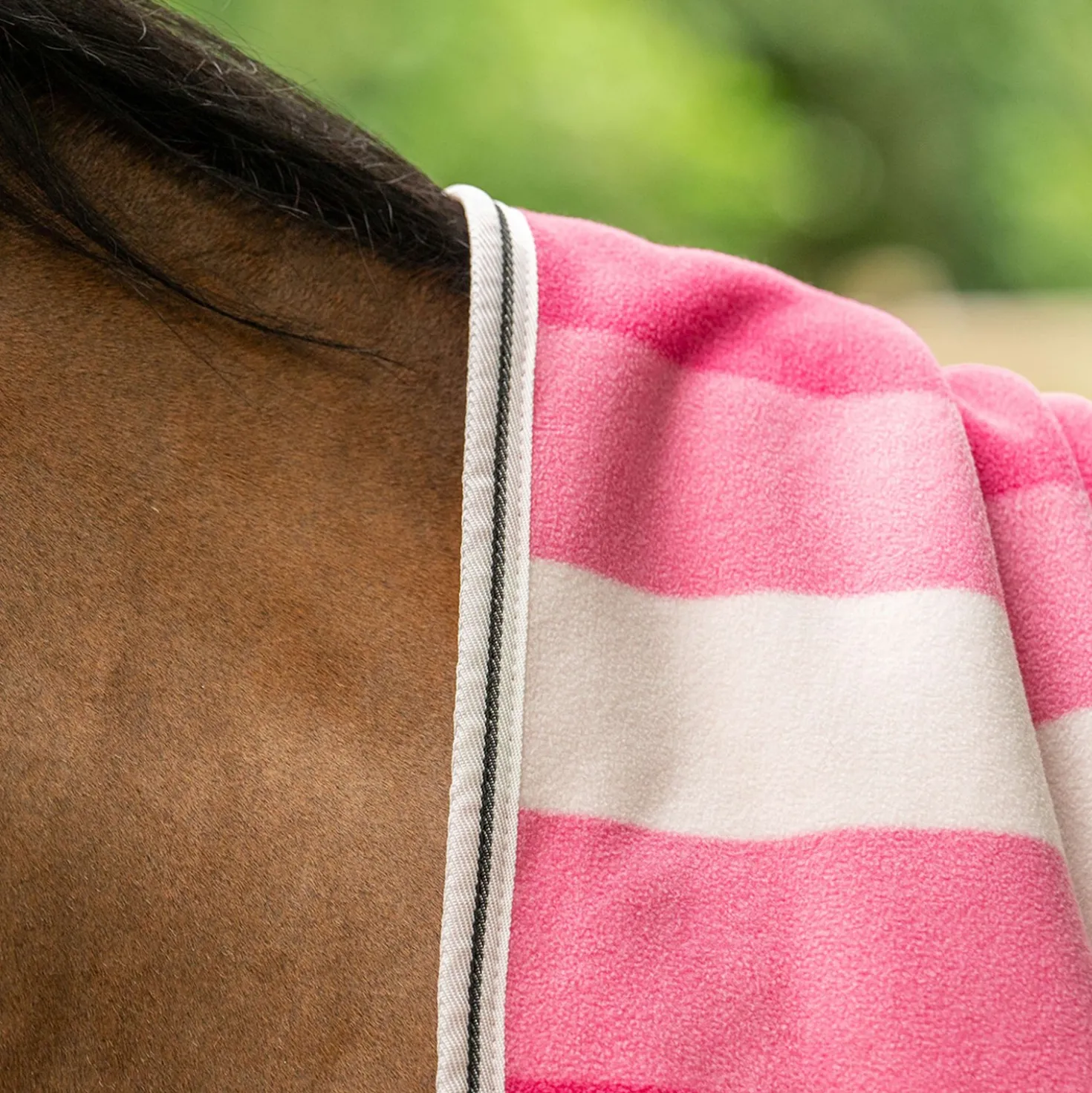 Velder Horsewear Premium Cooler VelvetTouch Dusty Rose