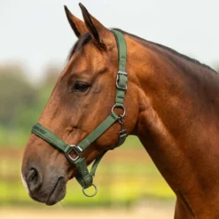 Velder Horsewear Premium Halster Satin Glow Olive Mist