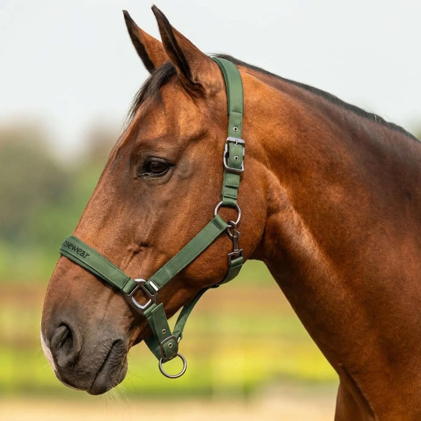 Velder Horsewear Premium Halster Satin Glow Olive Mist