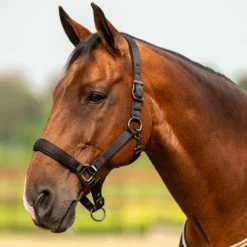 Velder Horsewear Premium Halster Satin Glow Zwart