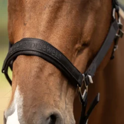 Velder Horsewear Premium Halster Satin Glow Zwart