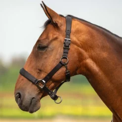 Velder Horsewear Premium Halster Satin Glow Zwart
