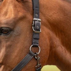 Velder Horsewear Premium Halster Satin Glow Zwart