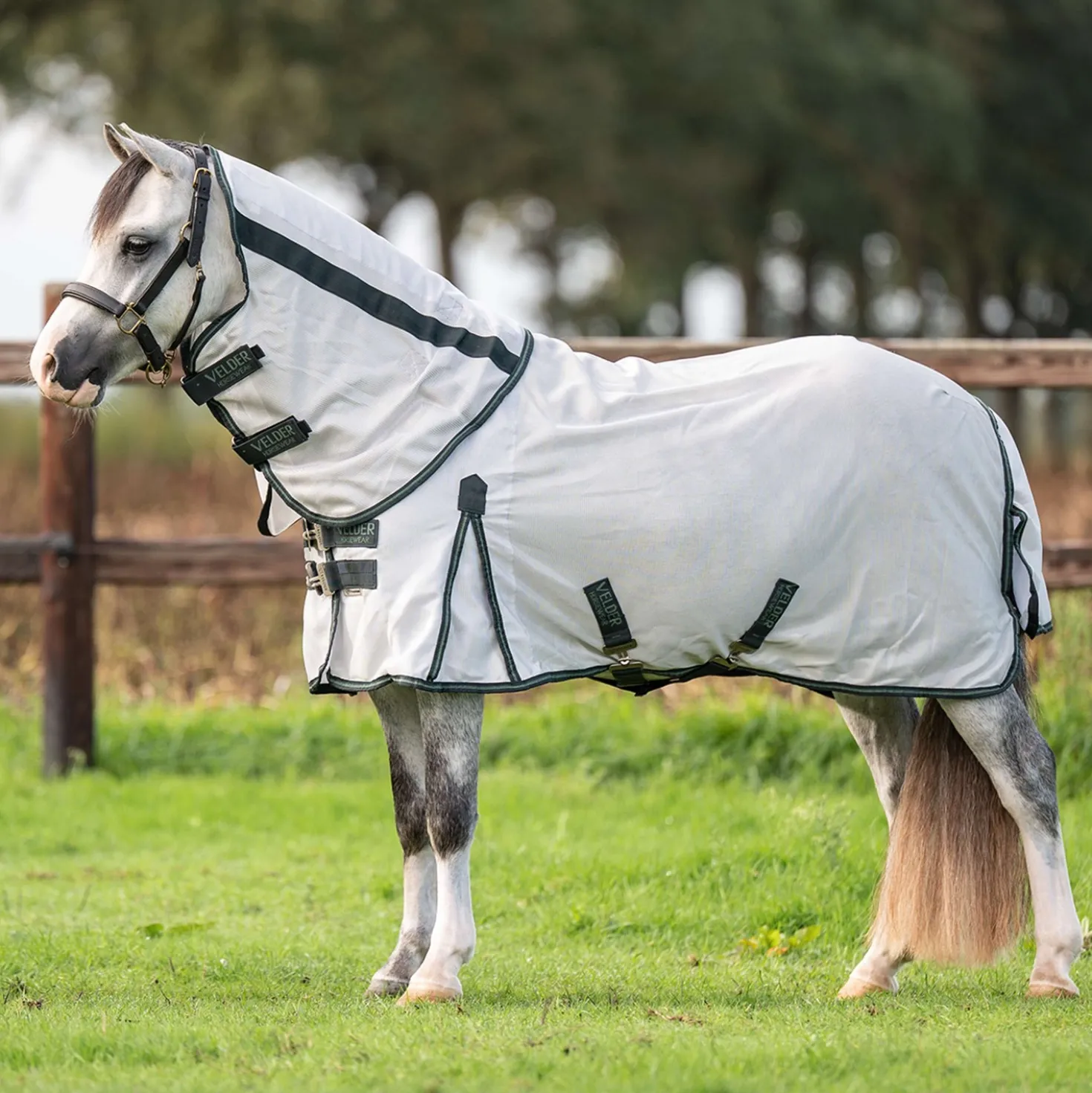 Velder Horsewear Premium Pony Vliegendeken Guardian AirMesh Silver Mist