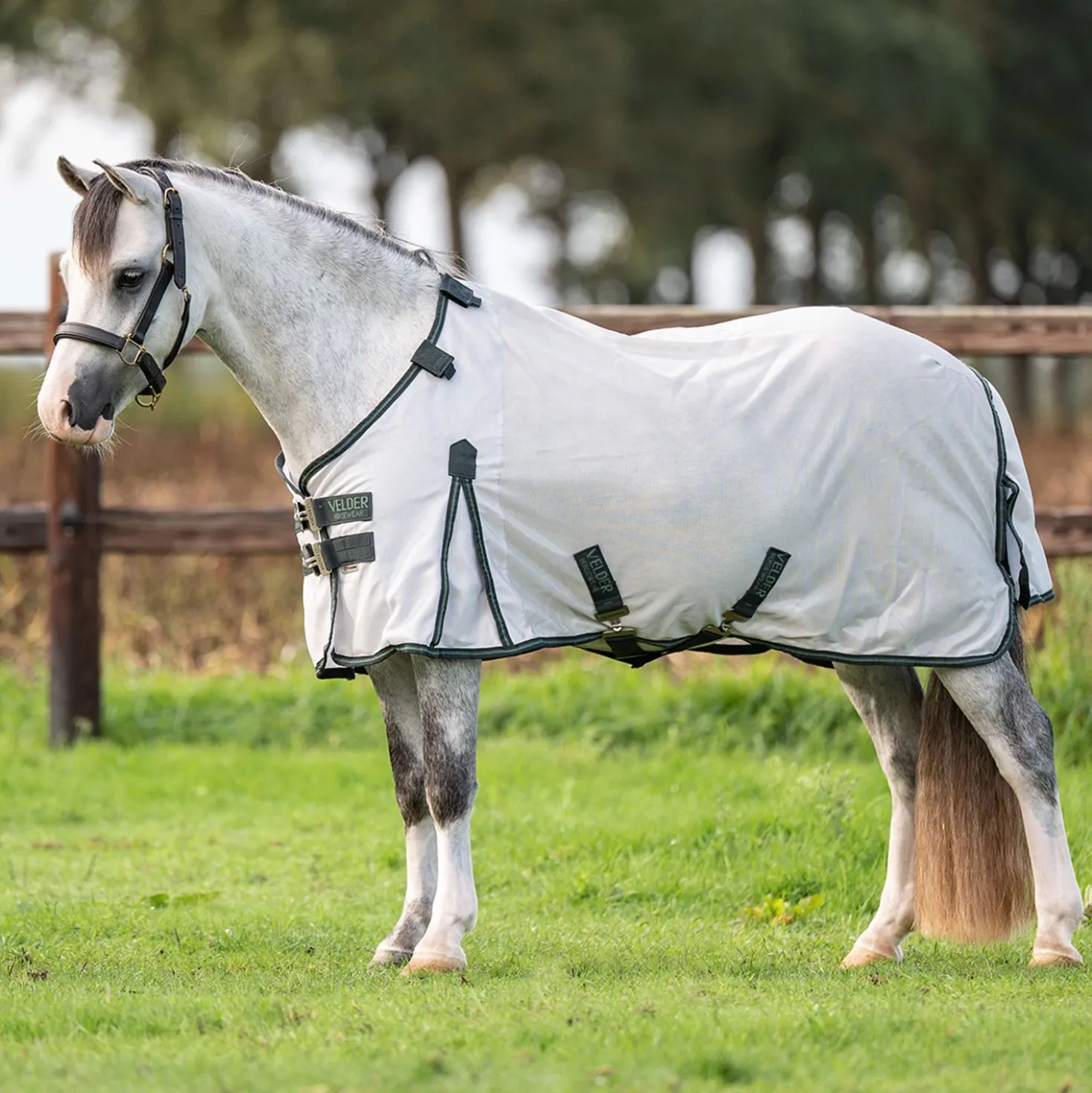 Velder Horsewear Premium Pony Vliegendeken Guardian AirMesh Silver Mist