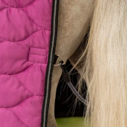 Velder Horsewear Premium Pony Showdeken Satin Glow Dutch Raspberry