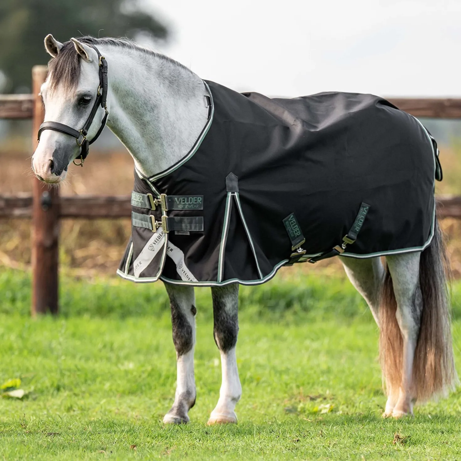 Velder Horsewear Premium Pony Turnout 1200D 0g T Bar Night Forest