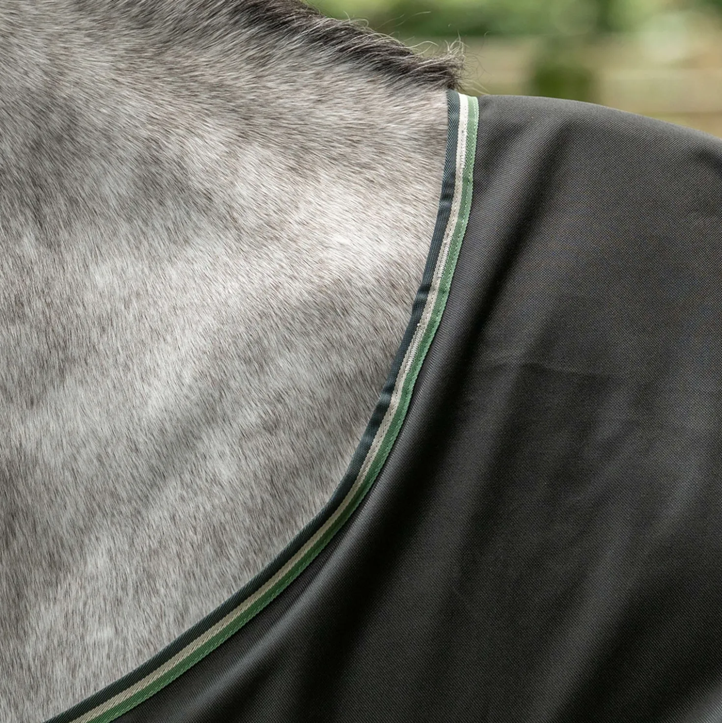 Velder Horsewear Premium Pony Turnout 1200D 0g T Bar Night Forest