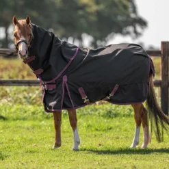 Velder Horsewear Premium Pony Turnout Rug 1200D 0g Zwart