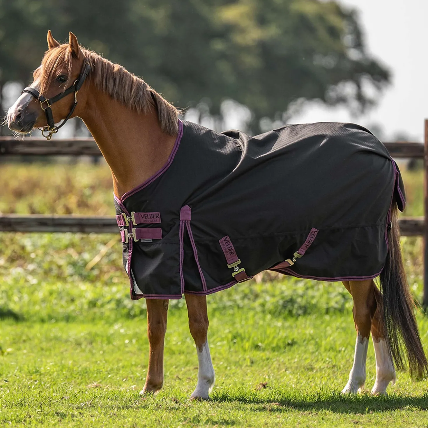 Velder Horsewear Premium Pony Turnout Rug 1200D 0g Zwart