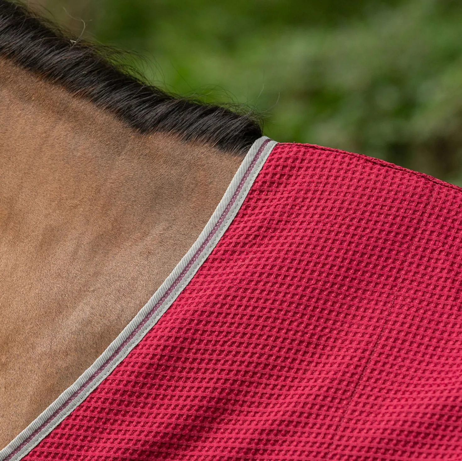 Velder Horsewear Premium Pony Waffle Cooler Rug Mulberry Red