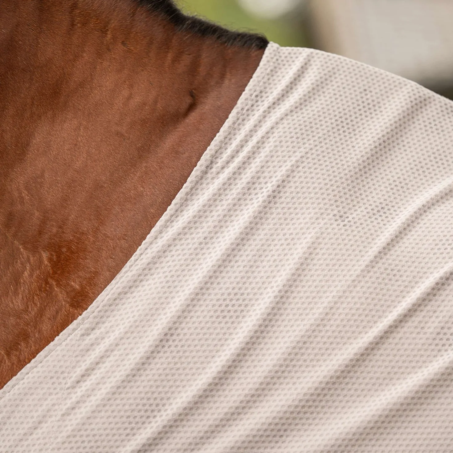 Velder Horsewear Premium Pony Cool Down Rug Summer Rosé