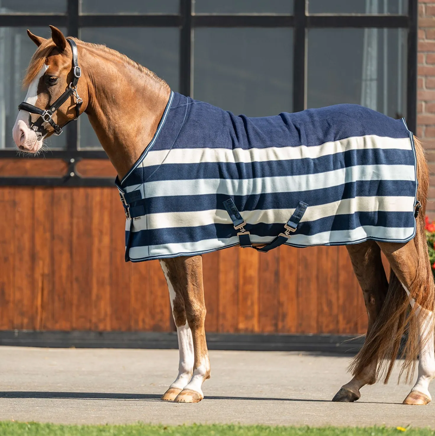 Velder Horsewear Premium Pony Deluxe Fleece Cooler Rug Navy