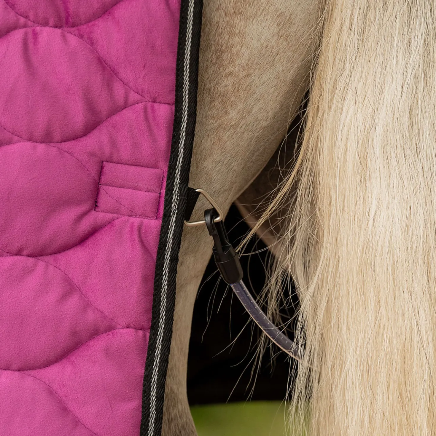 Velder Horsewear Premium Showdeken Satin Glow Dutch Raspberry