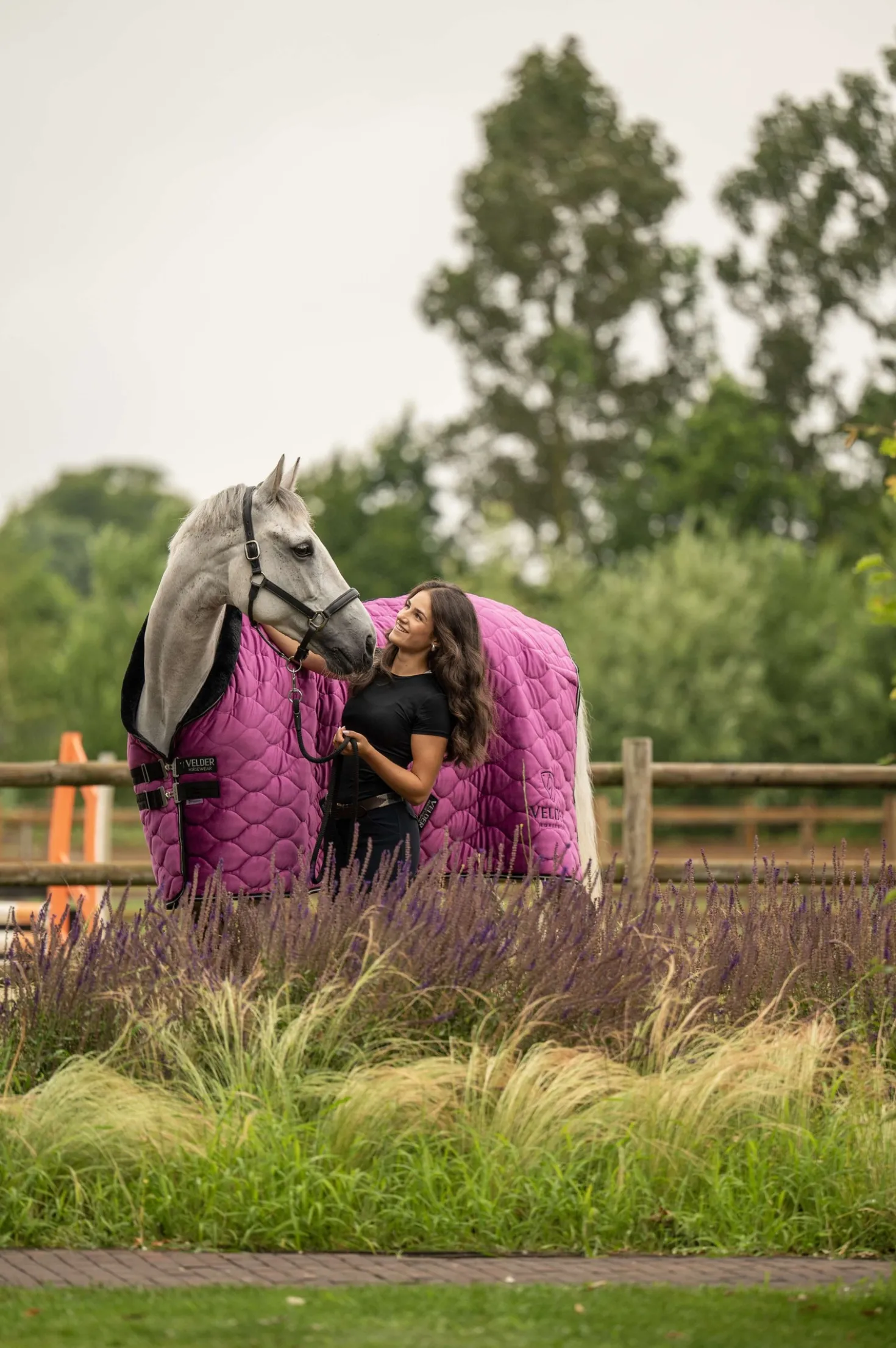 Velder Horsewear Premium Showdeken Satin Glow Dutch Raspberry