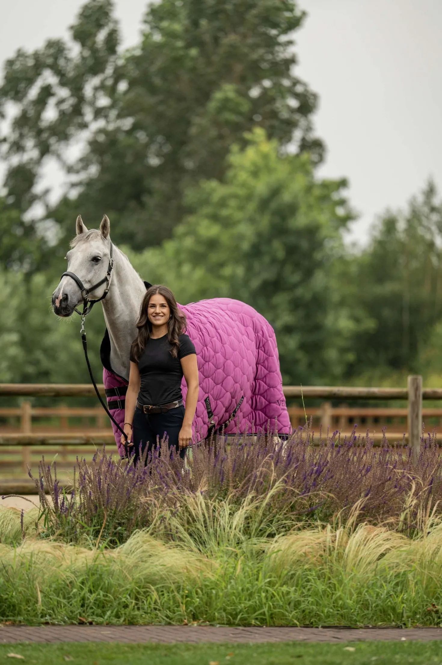 Velder Horsewear Premium Showdeken Satin Glow Dutch Raspberry