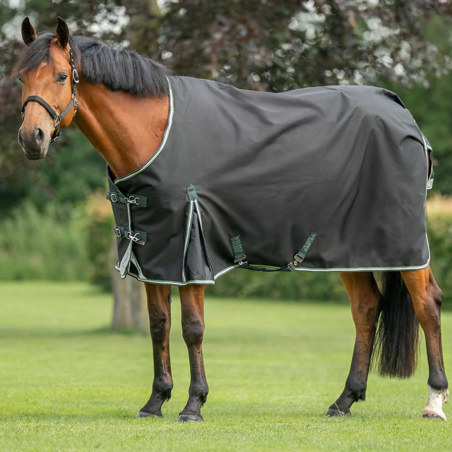 Velder Horsewear Premium Turnout 1200D 0g EasyClip Night Forest